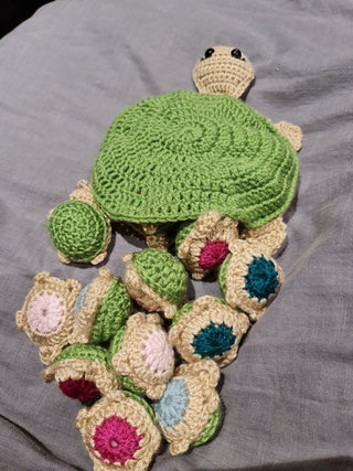 Turtle Sensory Toy